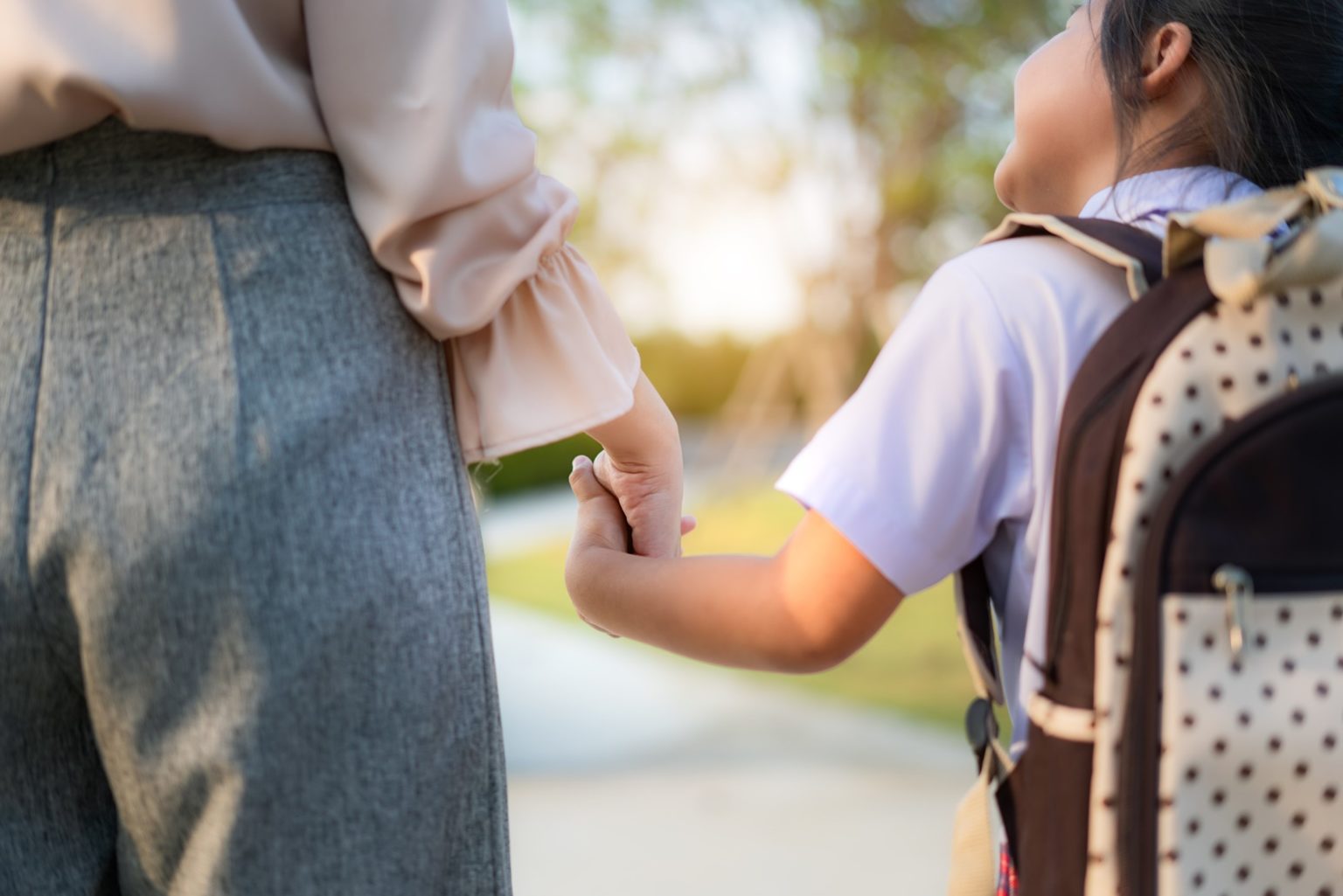 Why are you walking to school. Walk to School. Walking pupil back view.